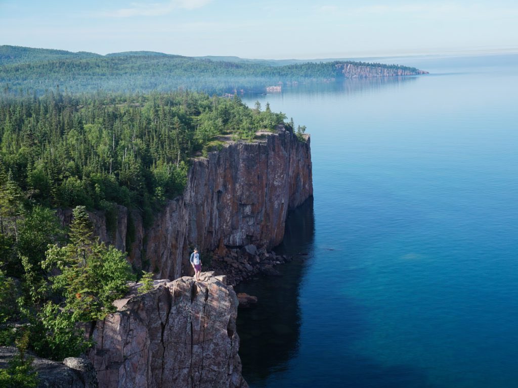 emily north tweet media