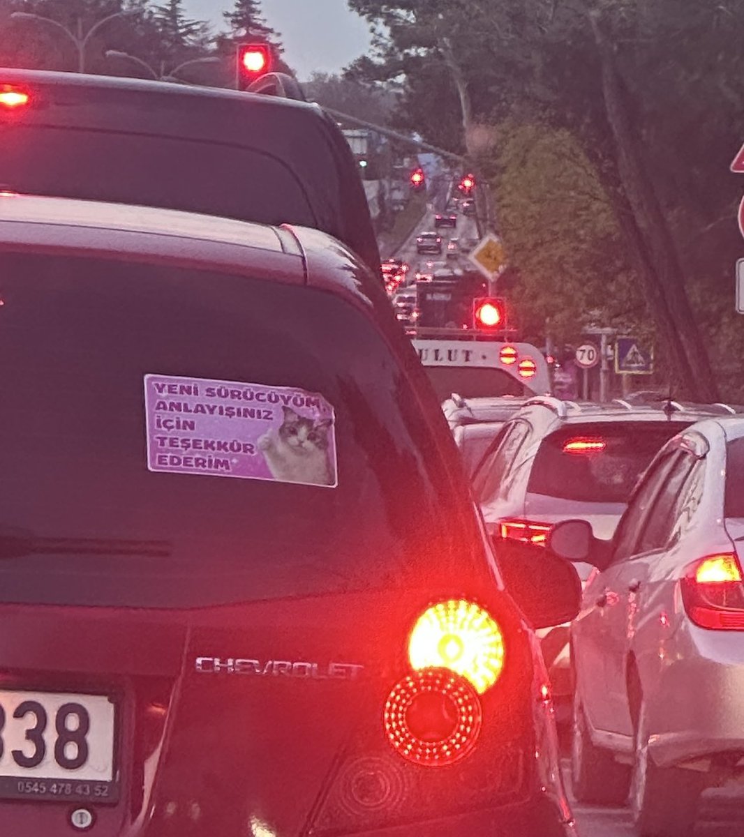 ikikedi tweet media