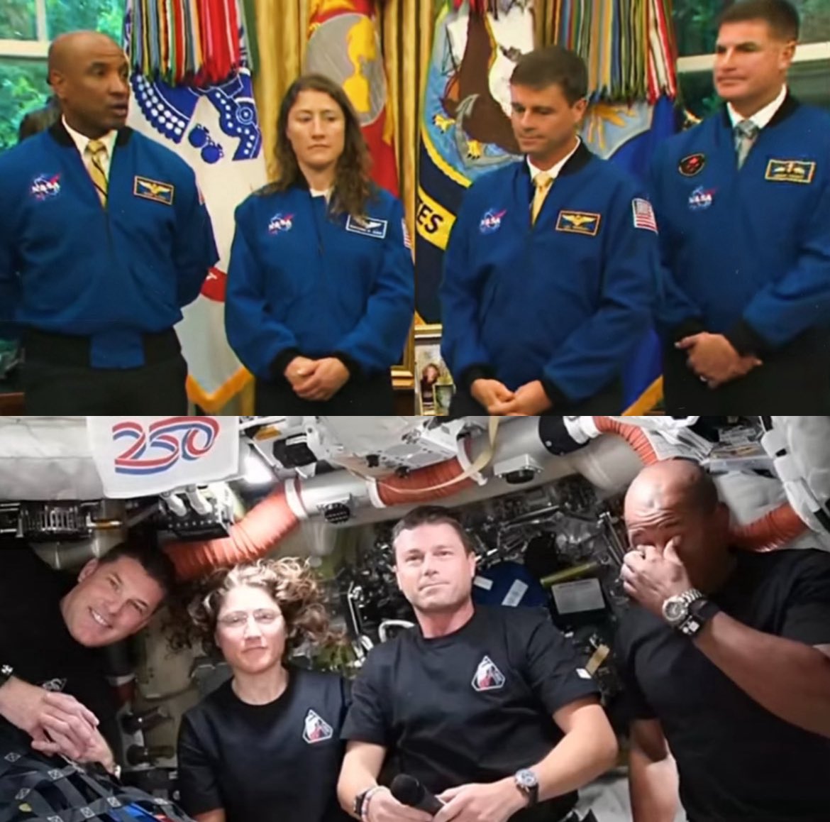 project hail dado ⚢ tweet media