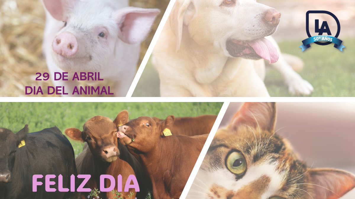 LaboratorioAzul's tweet photo. 29 de abril. Día del animal. #FelizDía https://t.co/FlTSf0wesc