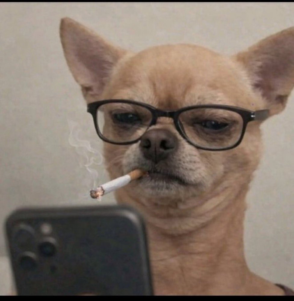 Mis-Maada tweet media