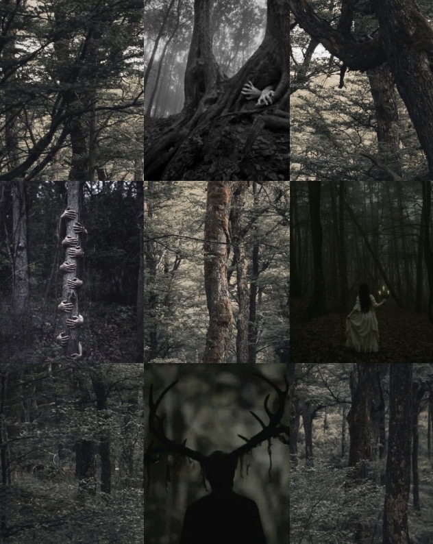 ShinyFluffdnd's tweet image. #QuestPit #Q #A #F #HF #PR #W
round up post!

Soon the Bats Will Come

atmospheric paranormal caper that questions what’s real &amp;amp; who survives history.  spanning from the 1500s to now, blending history w dark Slavic folklore, dimension-traveling vampires &amp;amp; generational vengeance