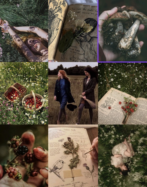 ShinyFluffdnd's tweet image. #QuestPit #Q #A #F #HF #PR #W
round up post!

Soon the Bats Will Come

atmospheric paranormal caper that questions what’s real &amp;amp; who survives history.  spanning from the 1500s to now, blending history w dark Slavic folklore, dimension-traveling vampires &amp;amp; generational vengeance