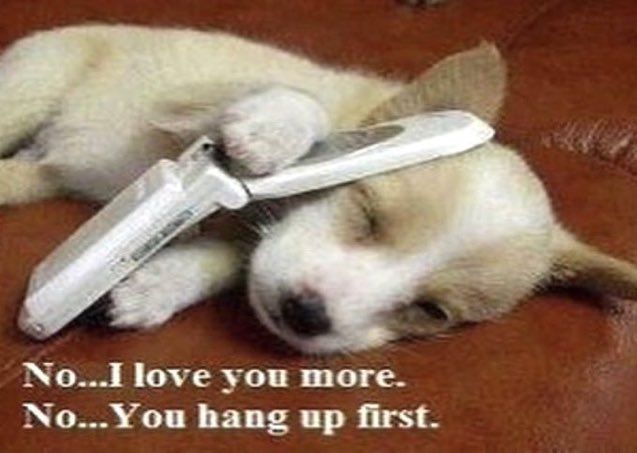 maria poggers coito tweet media