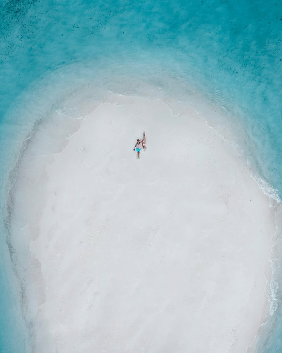 Visit Maldives tweet media