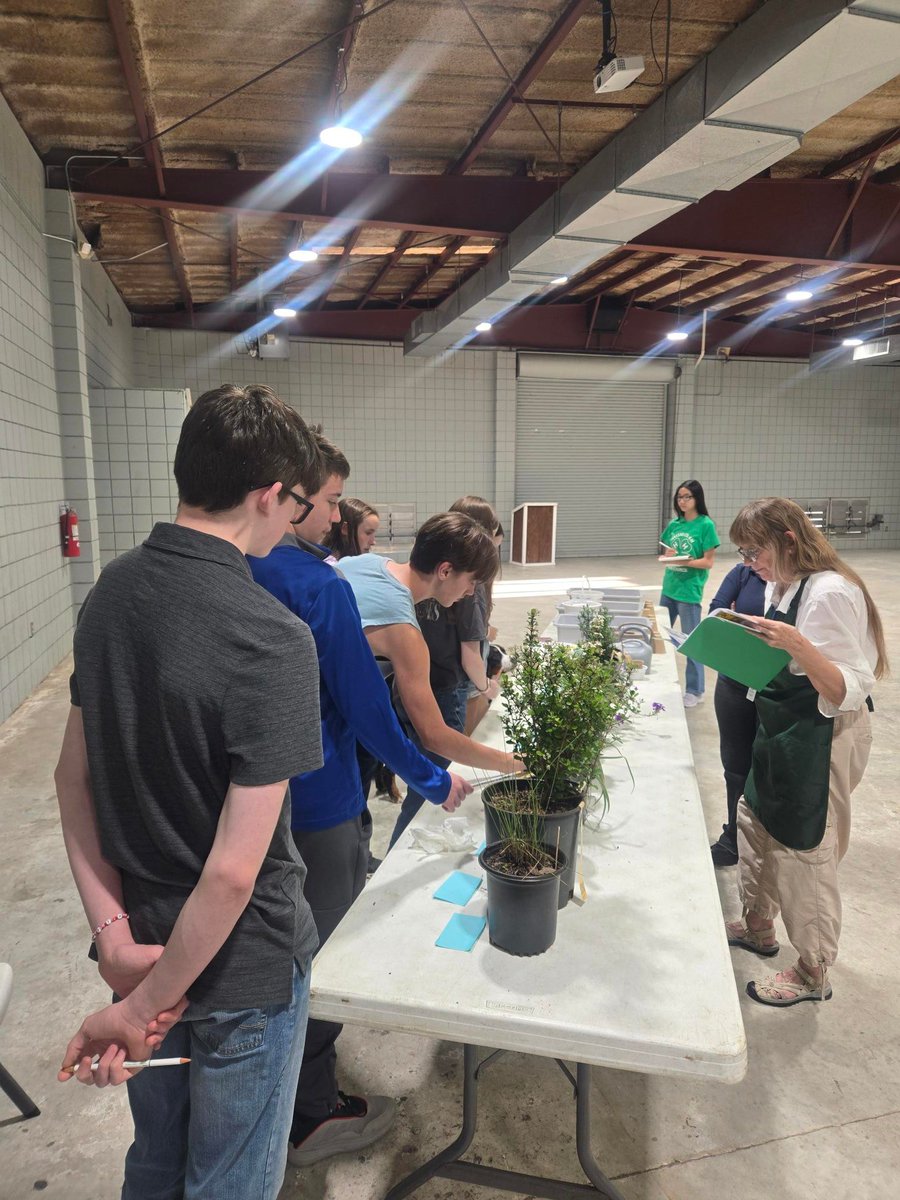 Florida4H's tweet photo. Continuing #Florida4H’s Month of Service, we’re highlighting Nassau County 4-H youth as they brought native plants back into focus. 

Youth built and placed native plant garden boxes in public spaces, beautifying the community while supporting local ecosystems. Each garden included signage to help others learn why native plants matter. #4HServes