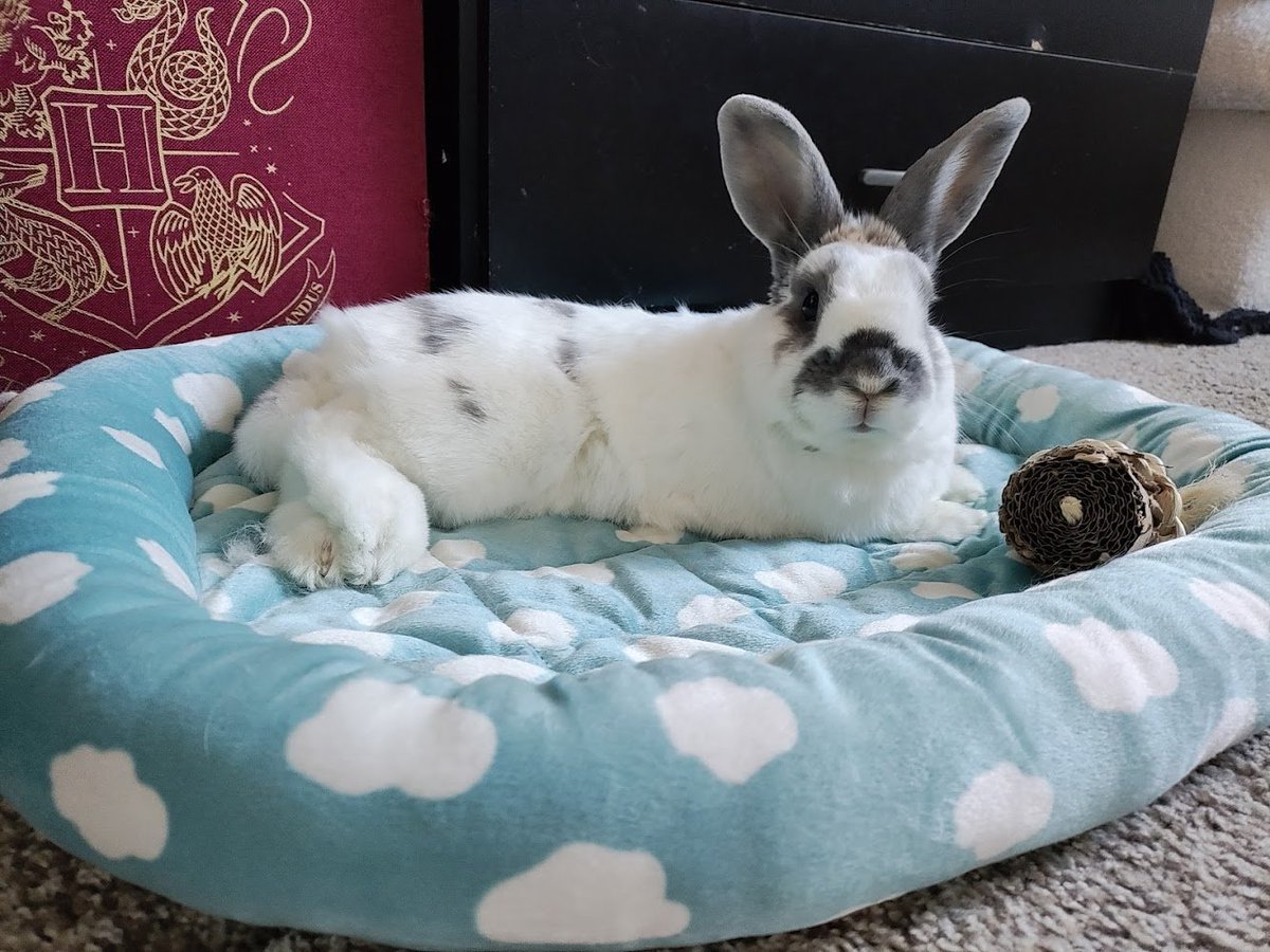 Princess Sephiroth 🍉 tweet media