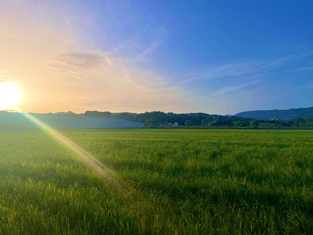 nuuriett_nunu's tweet image. 🎶
S'oblida tot a prop del teu melic
I tot el dia lailolai, i que no acabi no acabi mai…🎶

Bona vesprada!

#lailolai #oques #run #runner #músicapercòrrer