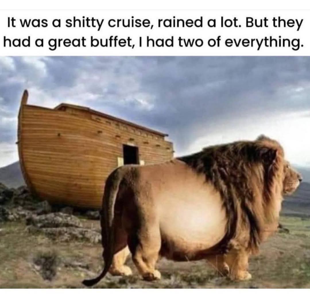 Rachel 🧡☠️🖤 tweet media