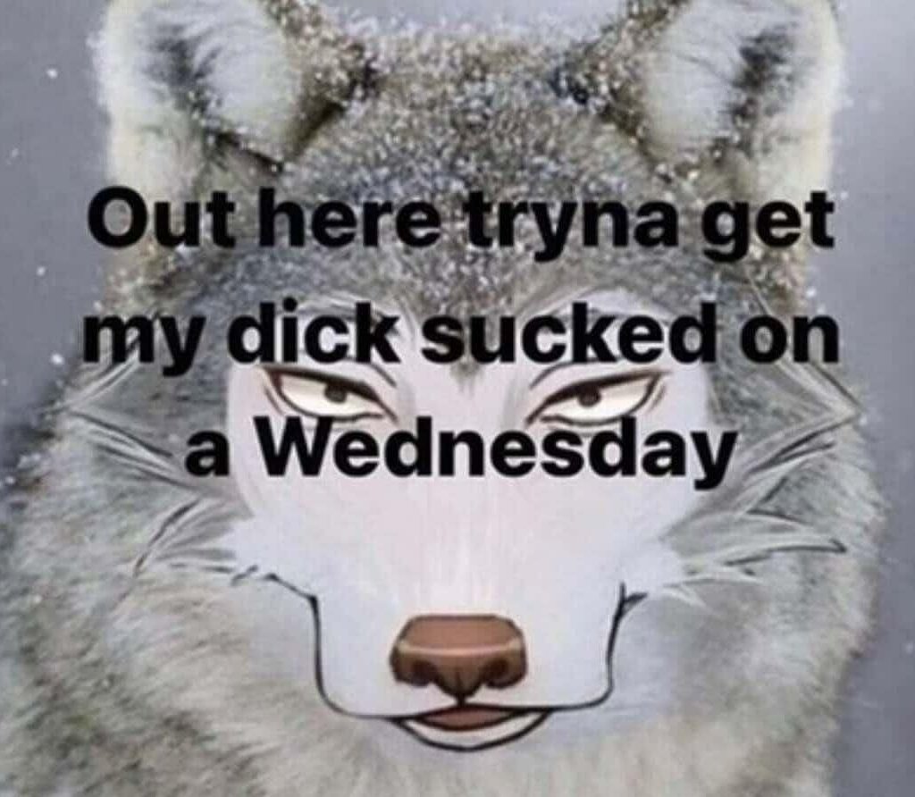 🏳️‍🌈Blowback But Possum🔞 tweet media
