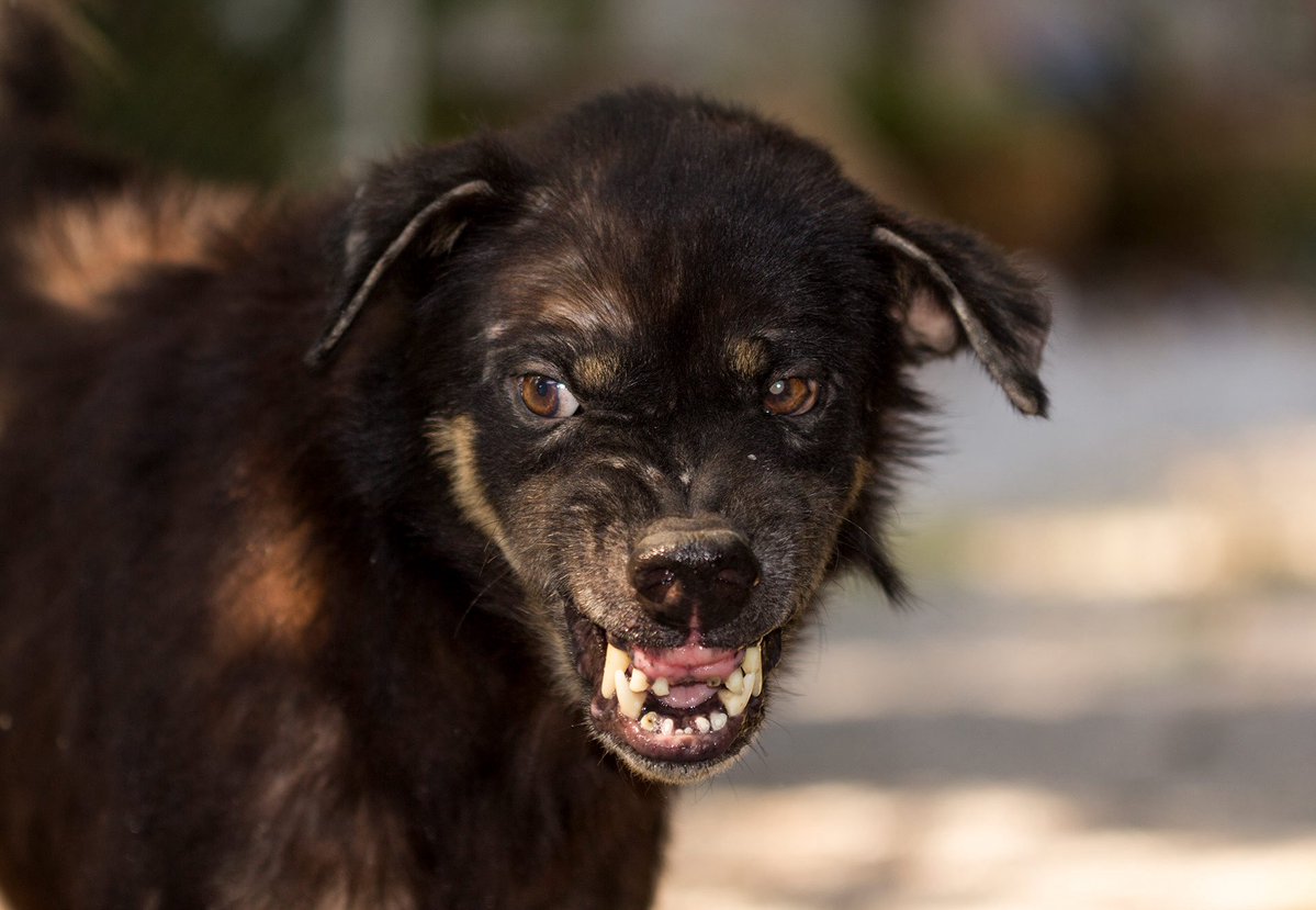 Tuğberk tweet media