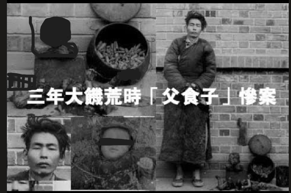 Caiman Vigilante tweet media