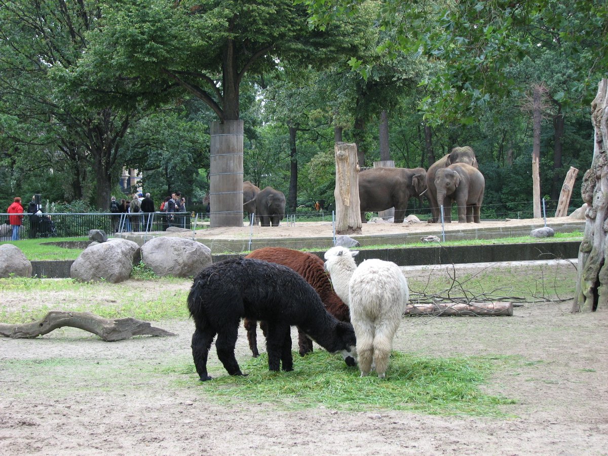 Oleg Danylov tweet media