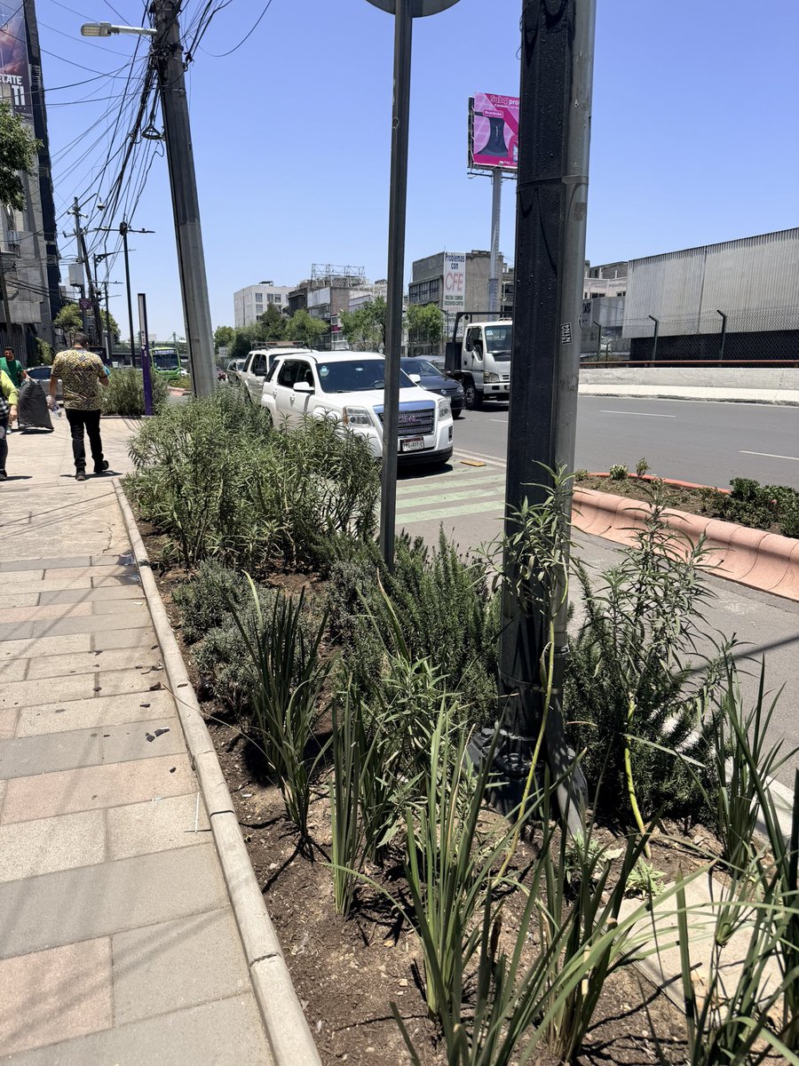Tu disque operativo para que respeten la ciclovía de Tlalpan, es pésimo, <a href="/ClaraBrugadaM/">Clara Brugada Molina</a>. Vengo en mi bici desde Taxqueña y no hay un solo patrullero y menos policías de tránsito. (Las fotos son de hoy a la altura de Juan Hernández Ávalos).