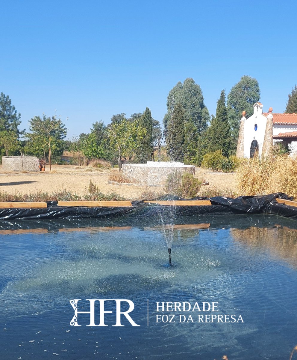 HerdadeFozdaRep's tweet image. Finaly the fountain is added to our collection 

Celebrate your wedding 

HerdadeFozDaRepresa.com 

#Events #Alentejo