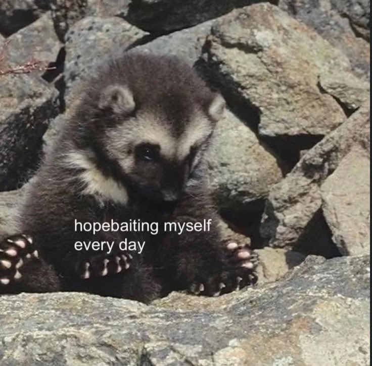 juice🌙 ~ 72%! tweet media