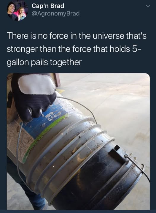 ElonMusksLonelHeartsClub tweet media