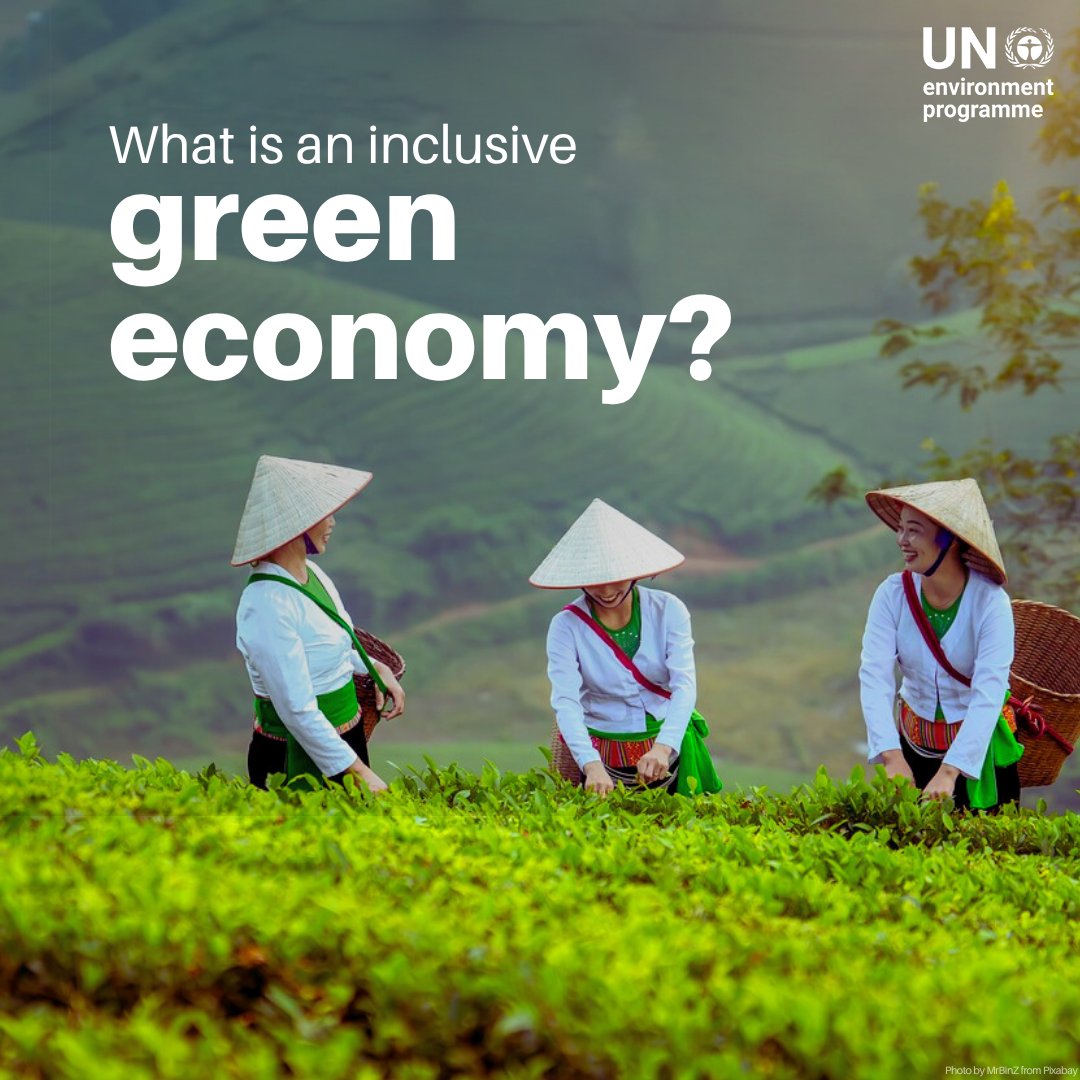 An inclusive green economy is one that improves human well-being and builds social equity while reducing environmental risks and scarcities.

Discover why it’s emerging as a strategic priority for many governments:  unep.org/explore-topics…