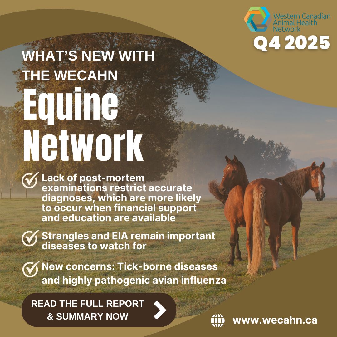 WesternCanadianAnimalHealthNetwork tweet media