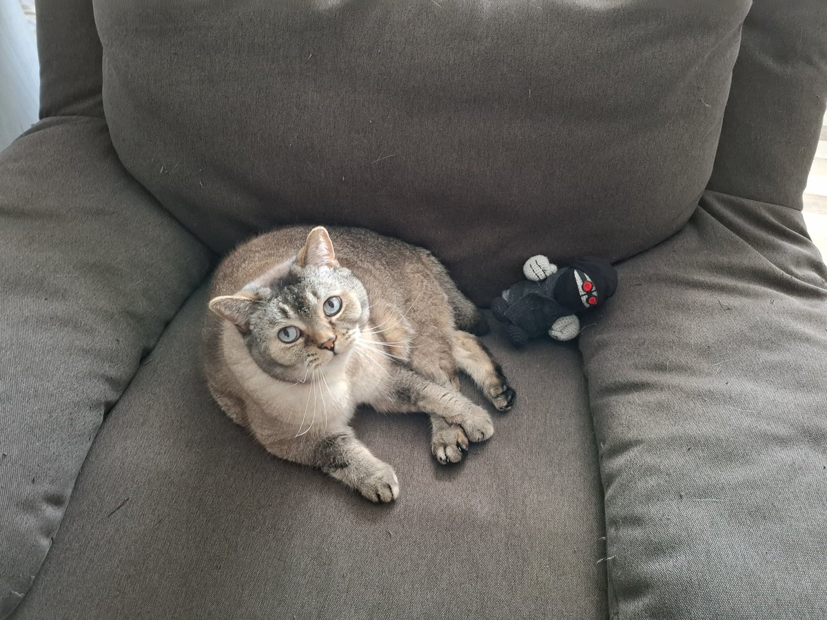 TeranceXD tweet media