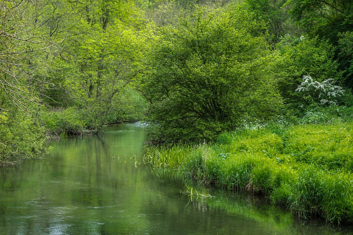 Andrew Locking tweet media