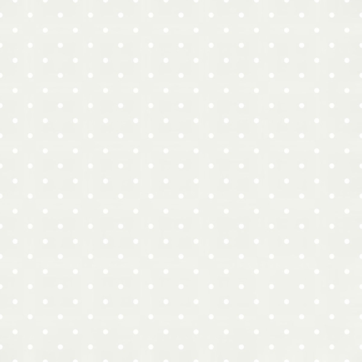 ☘︎ ݂ tweet media