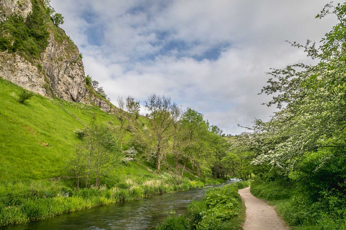 Andrew Locking tweet media