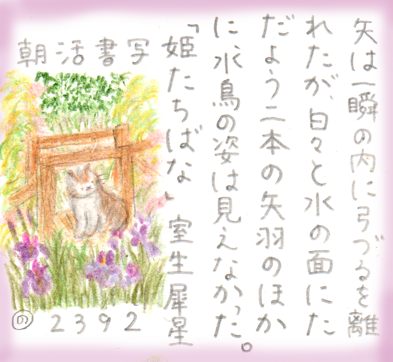 のここ tweet media