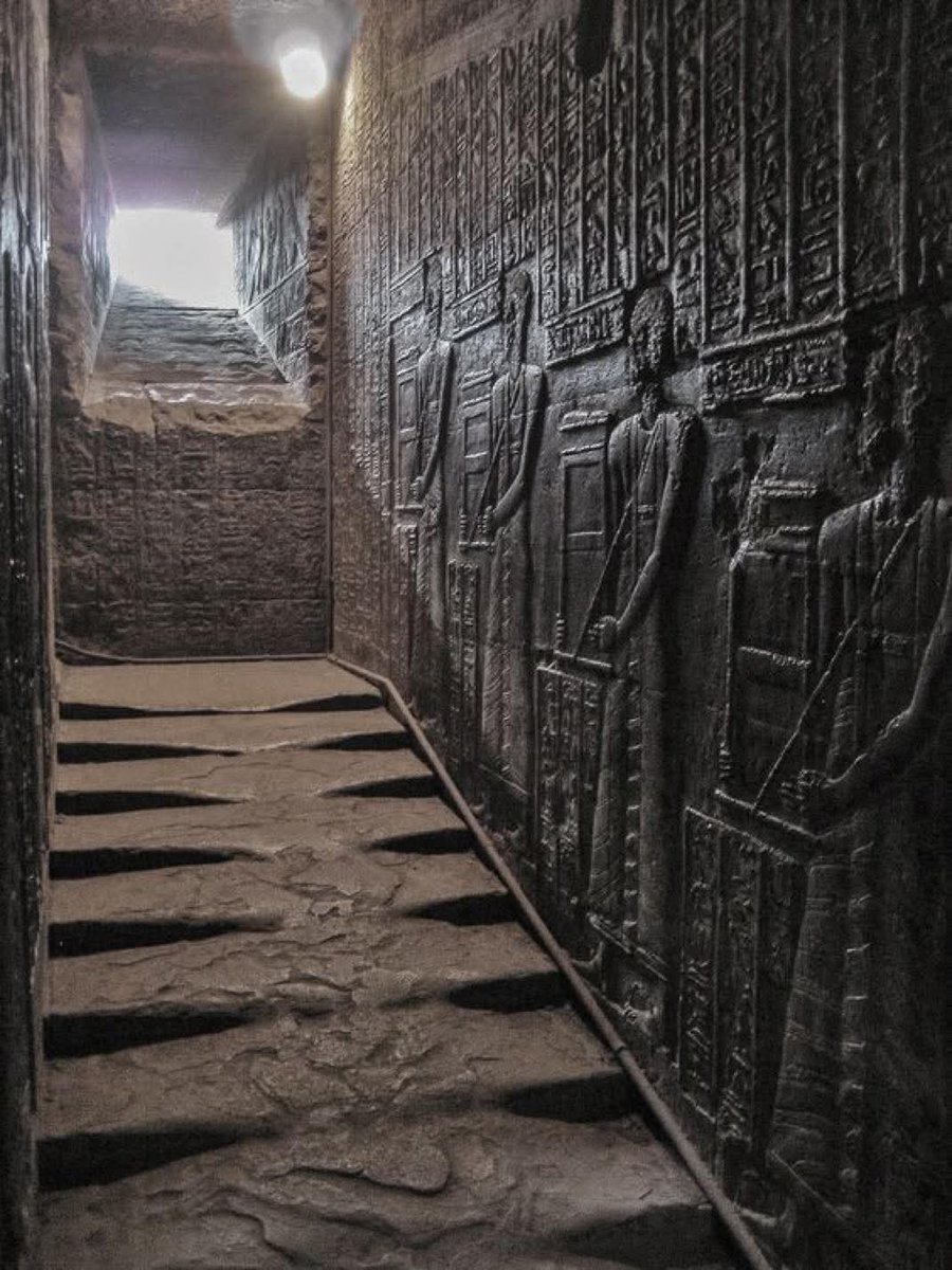 Forgotten History tweet media