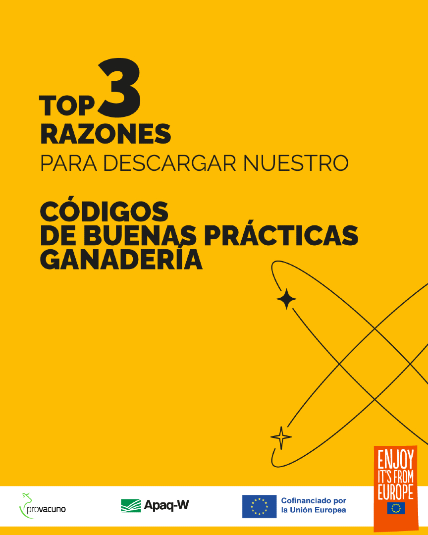 Provacuno's tweet photo. 🐄 🚀Por una Europa Sostenible. 
Estas son algunas buenas razones pero tenemos muchas más en: 

🔗 https://t.co/uue0uOtBa9

#VacunoSostenible #EUAgriPromo #EnjoyItsFromEurope #GanaderíaResponsable https://t.co/kSF6a22WqK