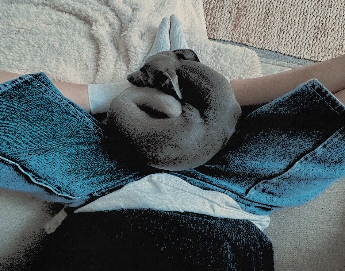 𝓢𝑃𝐸𝑁𝐶𝐸𝑅 tweet media