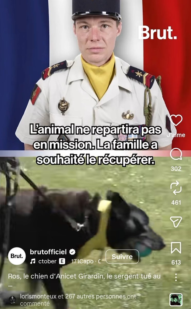 Jean Bexon tweet media