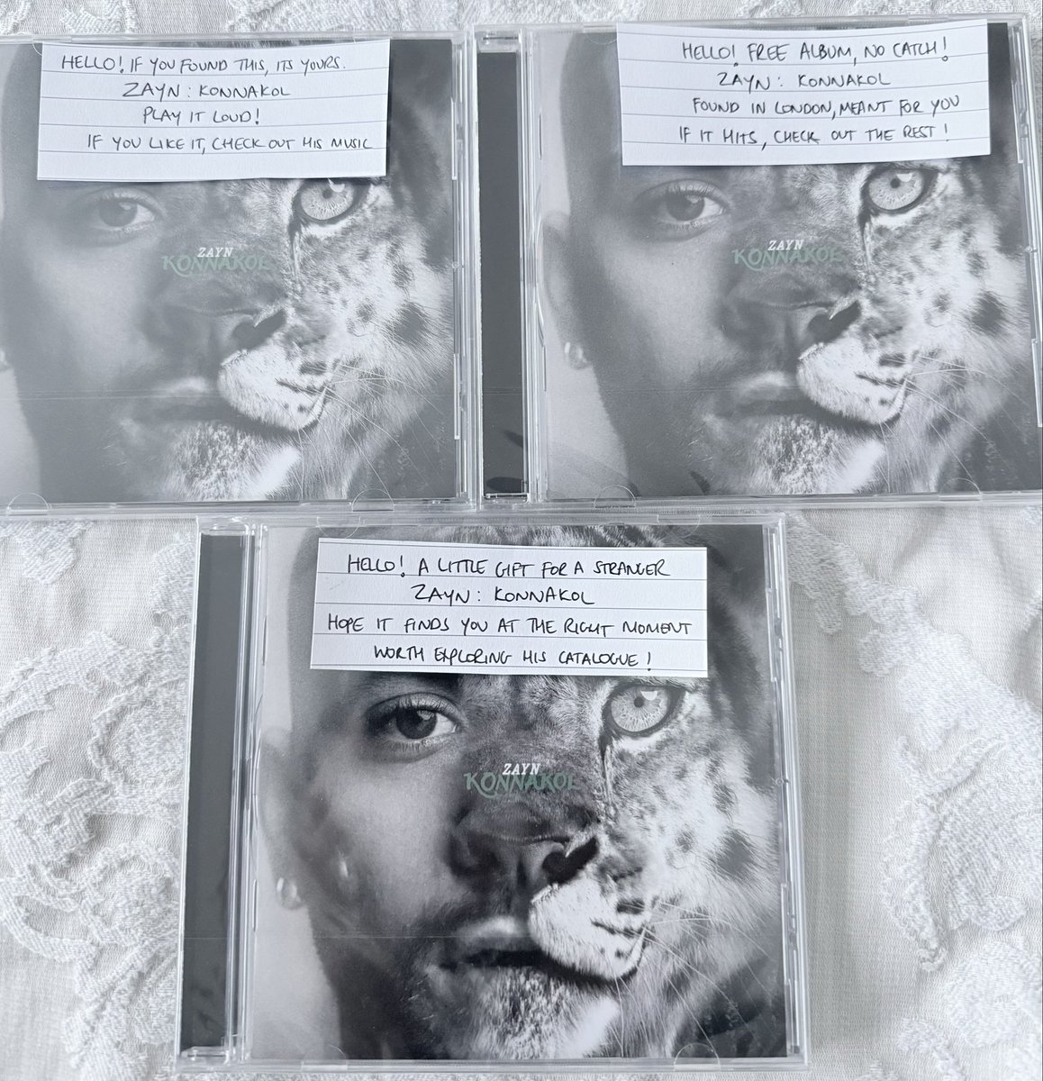 Tan B 🐆🌪️ 🖤 tweet media