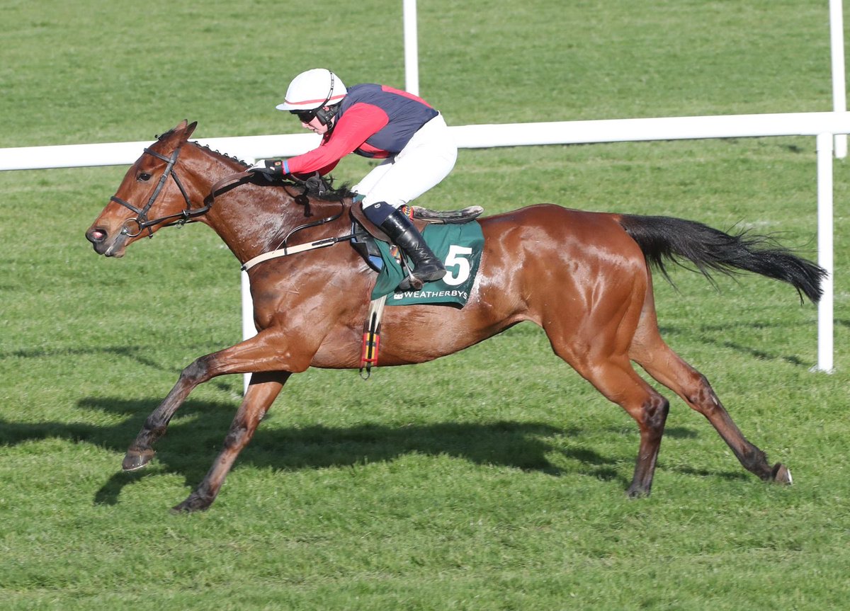 WillieMullinsNH's tweet photo. A mare on a mission 💫 

Even Tho &amp; @JodyT97 land the Grade 3 @weatherbysltd General Stud Book Irish EBF Mares Flat Race for PIL Gallop @punchestownrace this evening — a successful end to Day 2 for team Closutton❤️💙❤️

📸Caroline Norris https://t.co/zMfvJ5U9rl