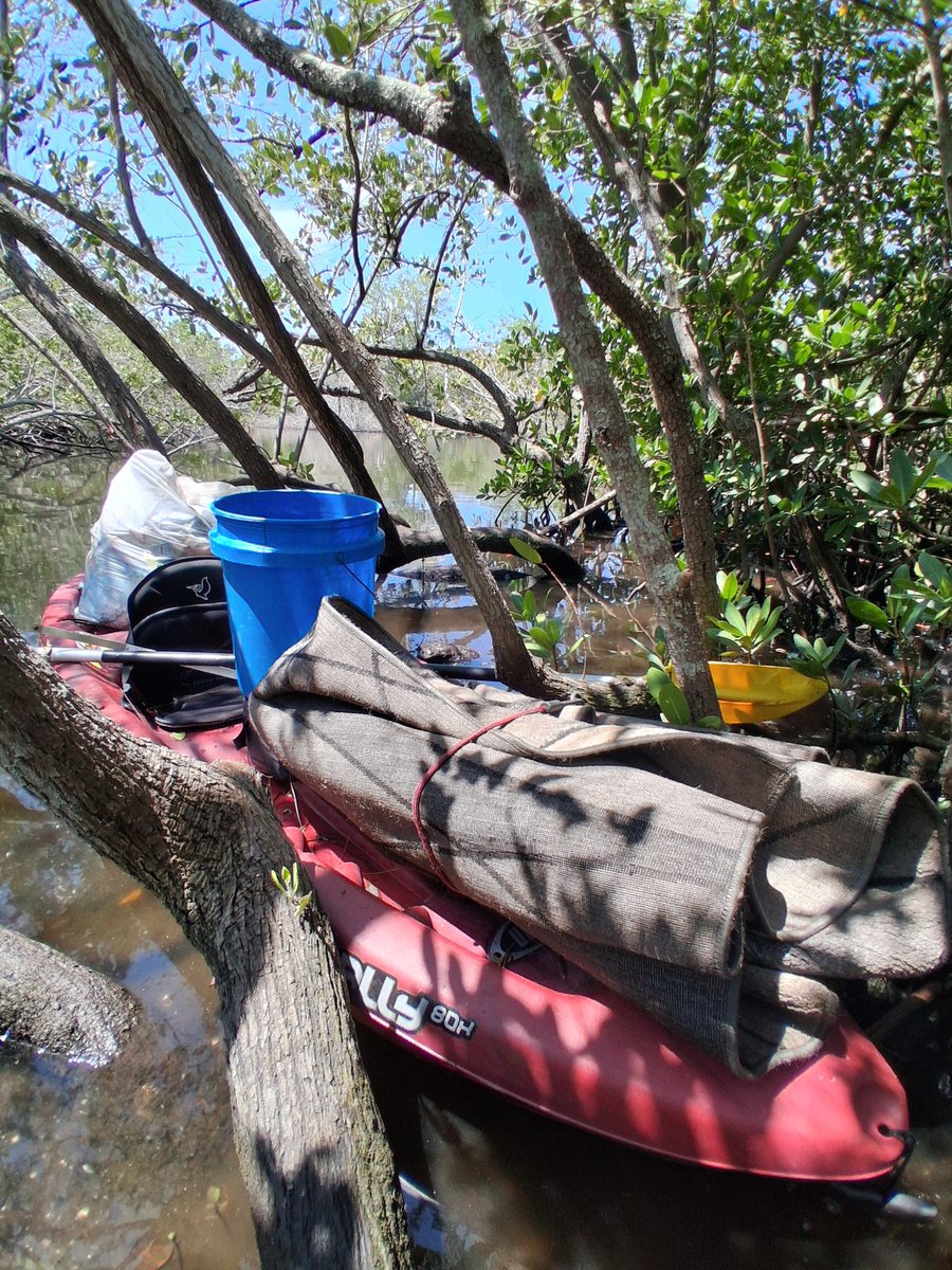 TJRPitt's tweet photo. Do you remember the waterlogged rug that nearly sank⚓️ my kayak on Friday?
Returned to Clearwater's Stevenson Creek today &amp; paddled it out to safety👍 + a near full bag of litter &amp; trash removed https://t.co/CJvEOfZvwP