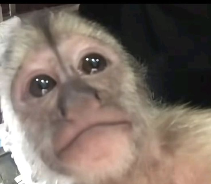 ͏ ͏ ͏ ͏ ͏͏ㅊ sy ♱ tweet media