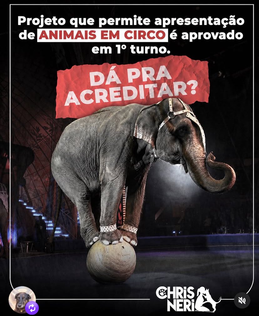 Enfermeiro do Orelha tweet media