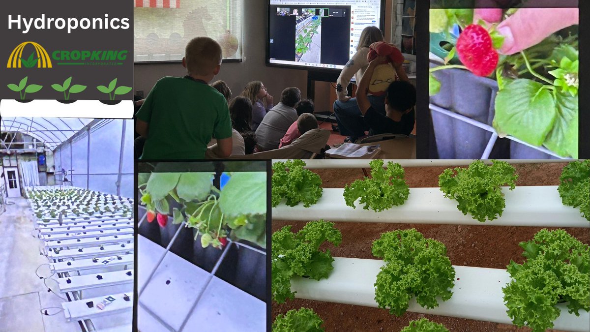 edtechsears's tweet photo. Huge thank you to @CropKingInc  for leading an incredible virtual field trip! Ss were able to see real-world applications of our science &amp; hydroponics unit in action, making direct connections to 3rd grade standards in a way that was fun, engaging, &amp; truly immersive. https://t.co/owlRMCTJt6