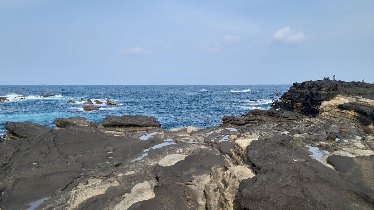 三鳥連 tweet media