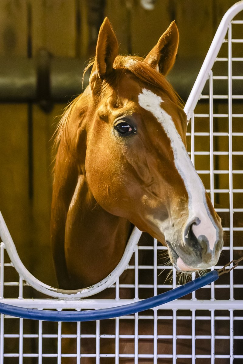 Kentucky Derby tweet media