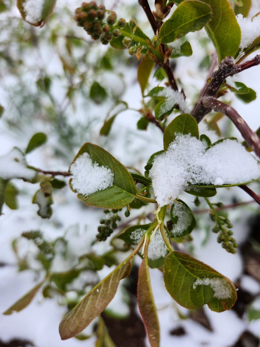 GregLionhart's tweet image. #Spring #Snow #Hiking #MyPhoto #Photography