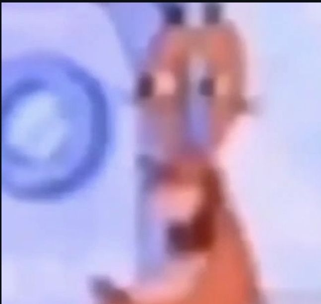 honk honk tweet media