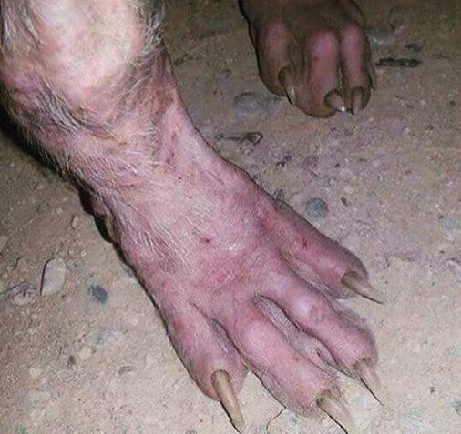 PIKMASTER tweet media