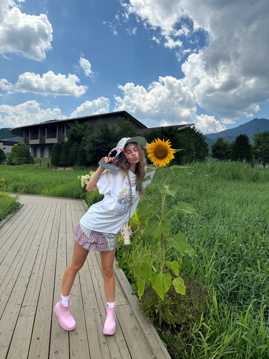 αnnelise tweet media