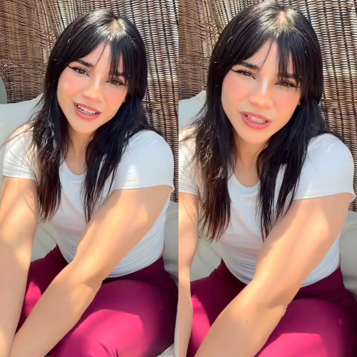 Cerebros tweet media