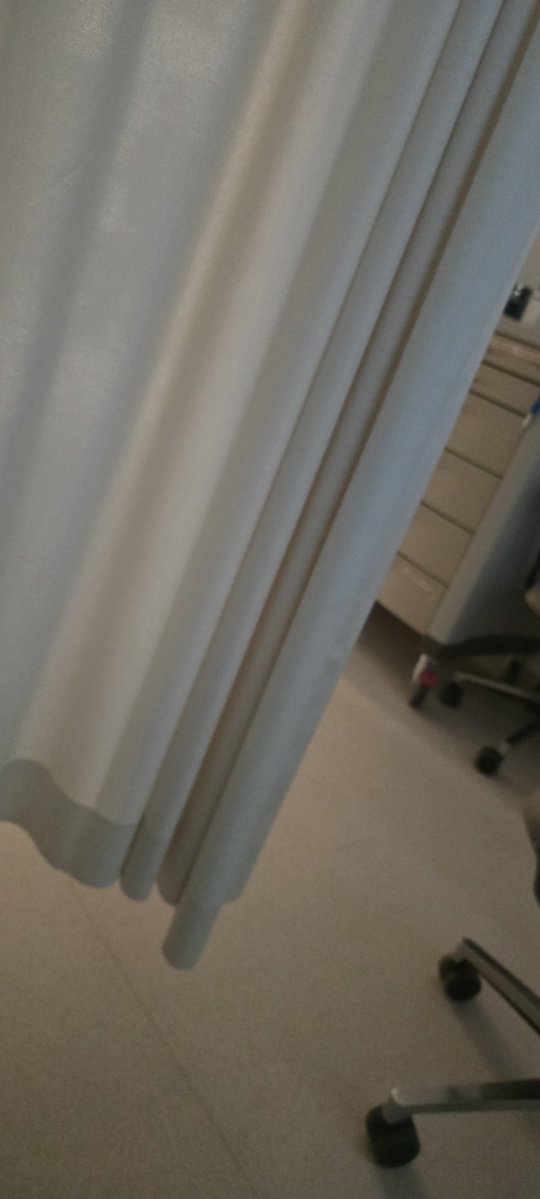 ميلاني ⭐️ tweet media