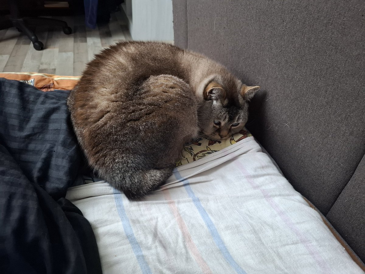 TeranceXD tweet media