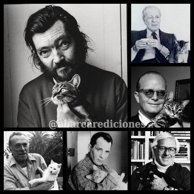 abarcaredic's tweet image. 29 de Abril
"DIA DEL ANIMAL"
Intelectual
📚
Darle forma en papel a tus creaciones
Es posible gracias a un solo lugar, Abarcar Ediciones
@abarcaredic
Los esperamos!
📖
#diadelanimal #escritores #editar #tupropiolibro #publicarunlibro #libros #editorial #edicionesdeautor #animales