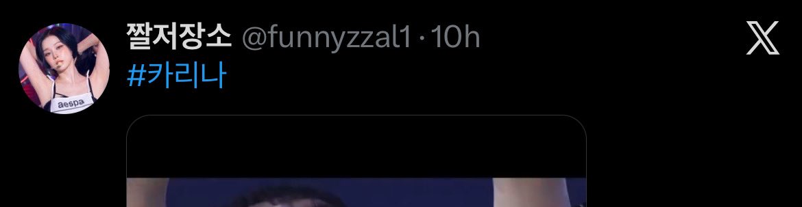 Karina Protect tweet media