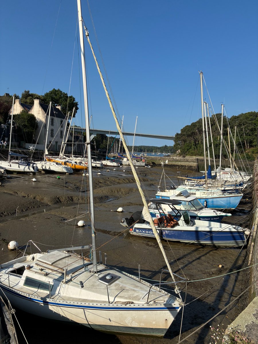 Gérard et Annie THOMINE tweet media